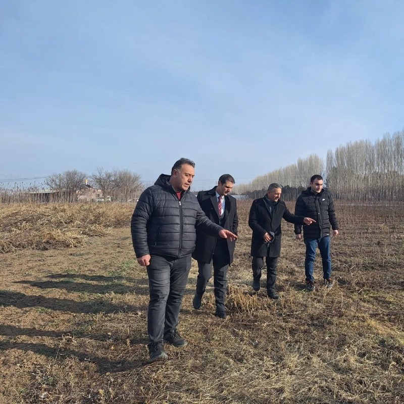Erzincan'da 20 bin tanesini yetiştirdiler. Yakında çiftçilerle buluşturacaklar - Resim: 1