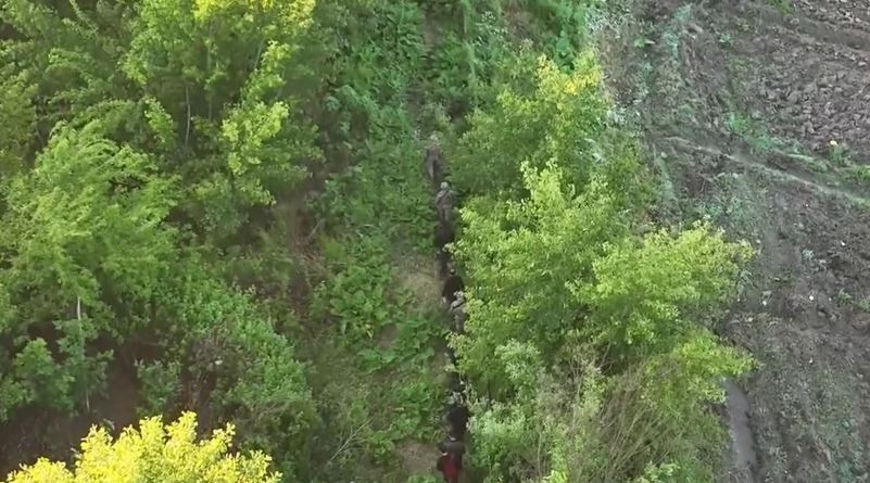 UNESCO mirasında zehir tarlası! Ekipler şaşkına döndü! 2 milyar liralık uyuşturucu operasyonu - Resim : 1