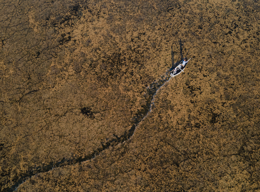 Konya’daki Çavuşçu Gölü’nde su seviyesi alarm veriyor. Kuraklık ekosistemi tehdit ediyor - Resim : 1