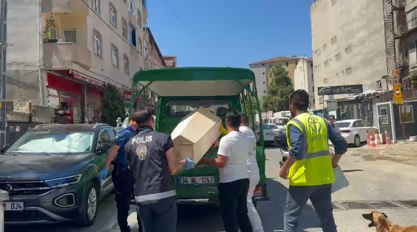 Kedisini ararken hayatının şokunu yaşadı! Gördüğü şey karşısında neye uğradığına şaşırdı - Resim : 1