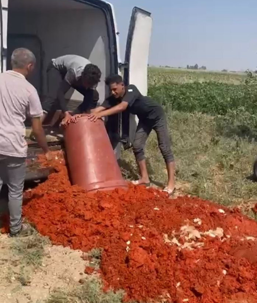 Hatay'da salça denetimi; 6 ton domates posası imha edildi - Resim : 1