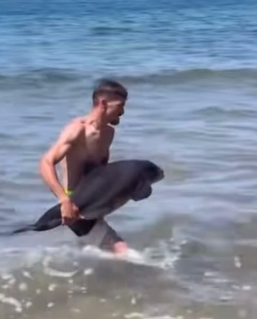 Bartın Amasra Bozköy plajında yaralı yunus sahile vurdu, vatandaşlar tarafından yeniden denize salındı - Resim : 1