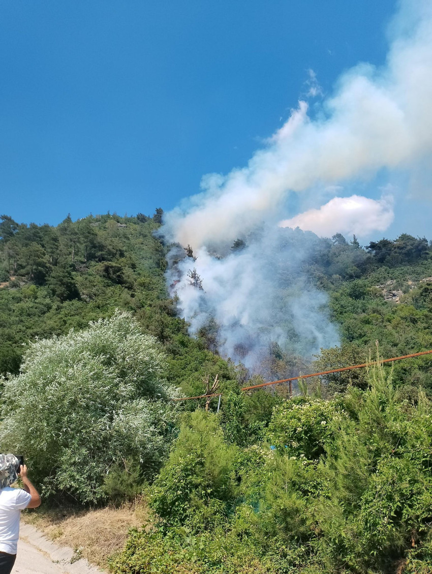 Adana, Bursa, Çanakkale ve İzmir'de yangın! Ekipler alarma geçti - Resim : 4