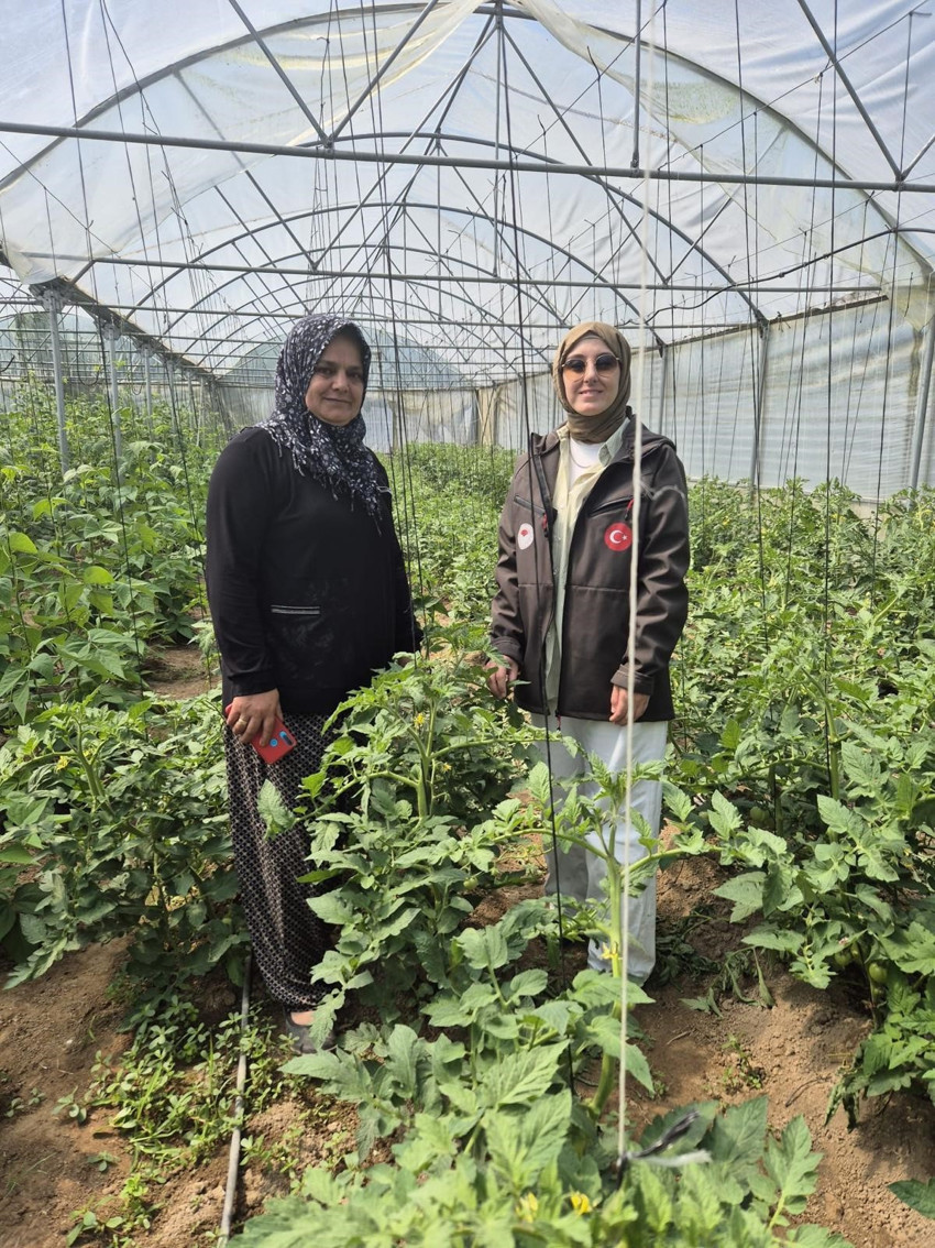Düzce’de sebze fideleri üretimle buluştu. Atıl arazilerin ekime açılmasıyla verimliliğin artırılması hedefleniyor - Resim : 1