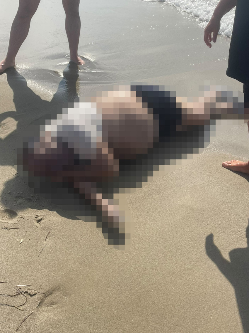 Yattan denize düşüp kaybolmuştu! Dehşete düşüren görüntü: İş insanı sahilde ölü bulundu - Resim : 1