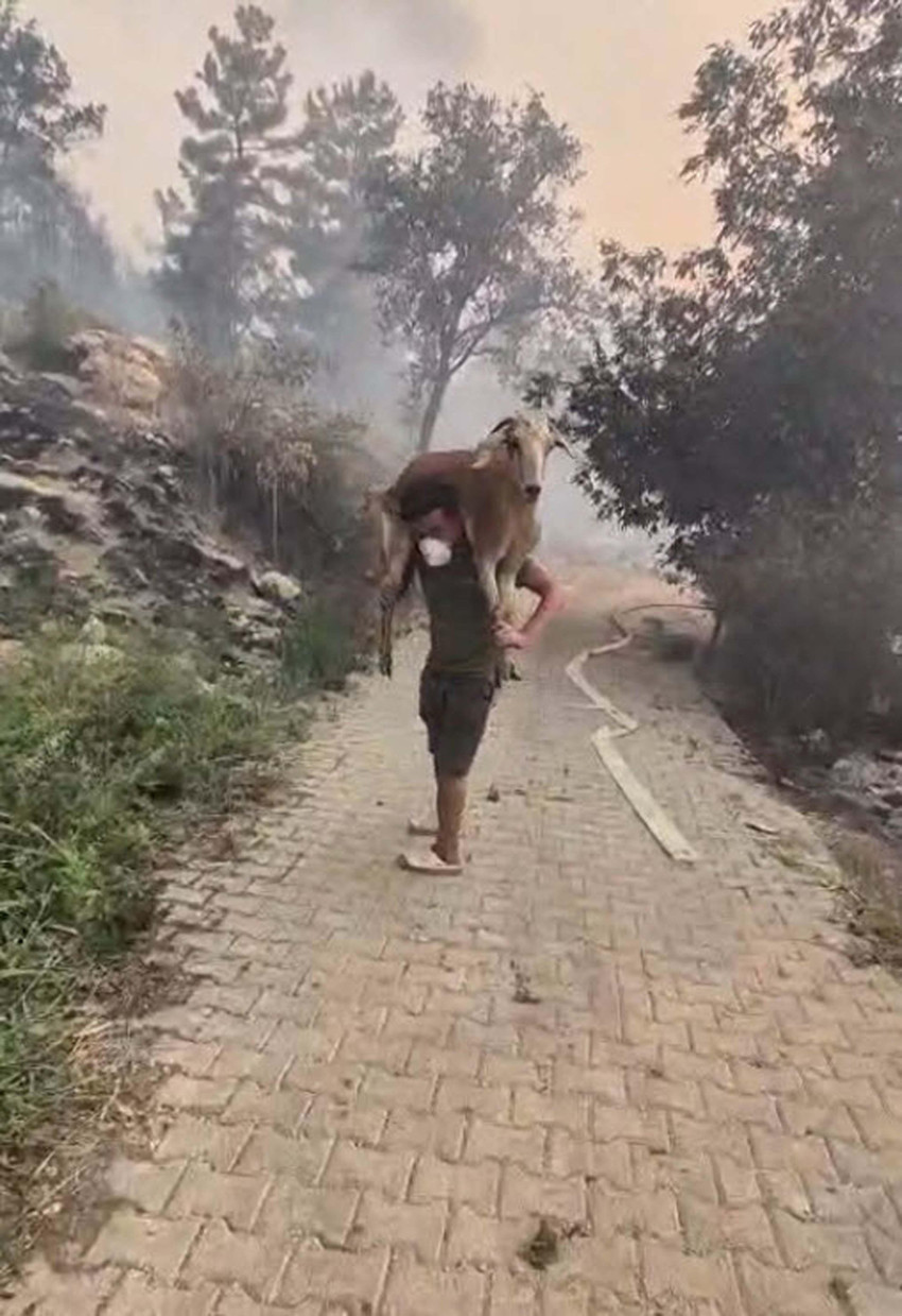 Orman yangınları kabusu başladı! Dört bir yanımızdan korkutan haberler geliyor! İşte yangınlardaki son durum... - Resim : 4