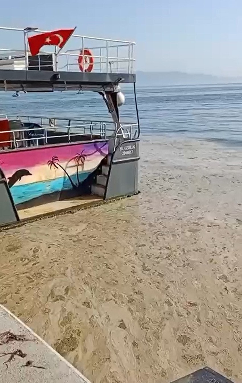 Marmara'daki turistik ilçede korkutan görüntü! Uzmanlar uyardı: "Yeniden yaşanabilir" - Resim : 1