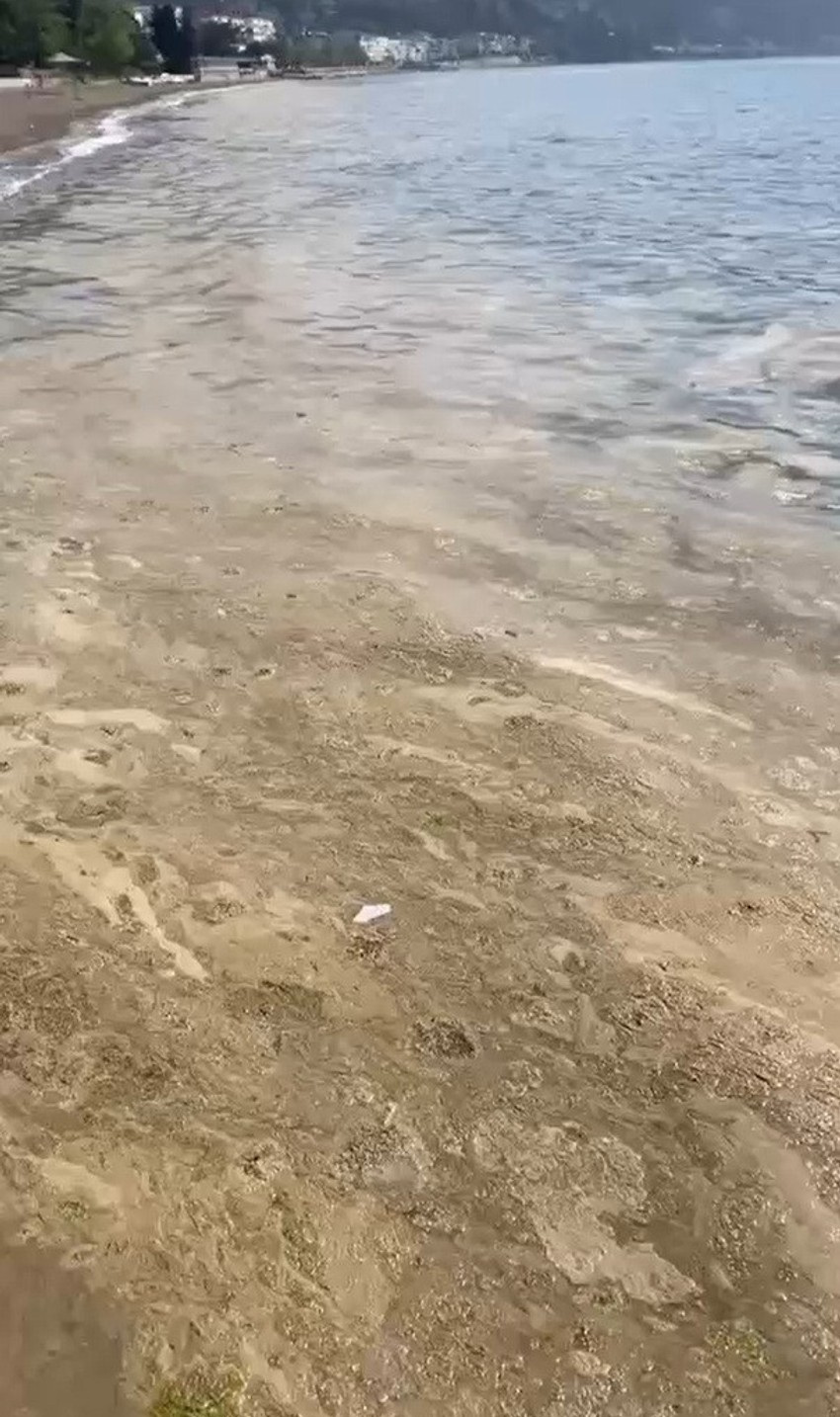 Marmara'daki turistik ilçede korkutan görüntü! Uzmanlar uyardı: "Yeniden yaşanabilir" - Resim : 2