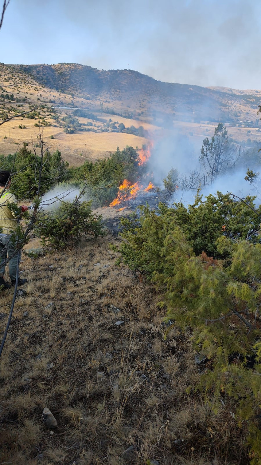 Bursa ve Tokat’ta orman yangını! Son durum ne? OGM açıkladı - Resim : 2