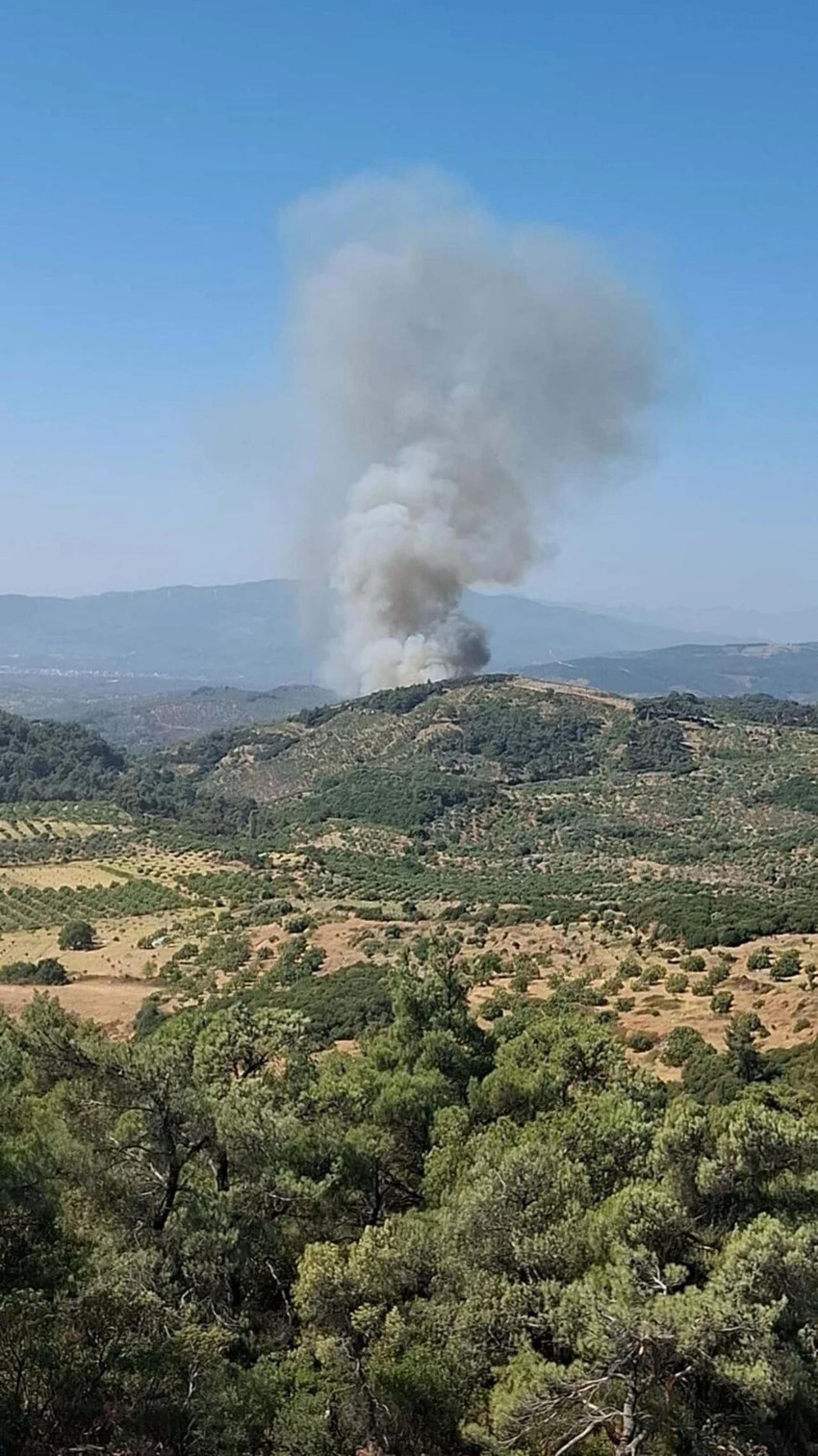 Çanakkale alev alev: 2 bin 90 kişi tahliye edildi! İşte yangınlarla mücadelede son durum - Resim : 14