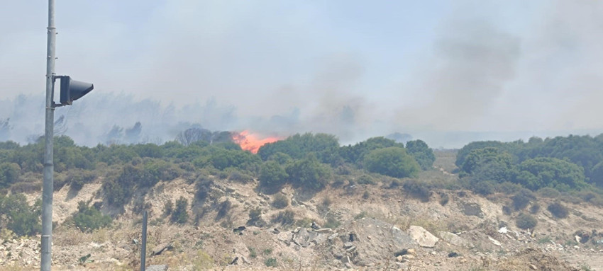 İzmir'de ormanlık alanda korkutan yangın! - Resim : 2