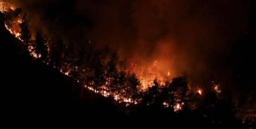 Orman yangınları 3 ilde s&uuml;r&uuml;yor!  Kozan'da yangın iki il&ccedil;eye daha sı&ccedil;radı! 40 ev tahliye edildi, 7 ev yandı! Acı haber geldi - Resim : 8