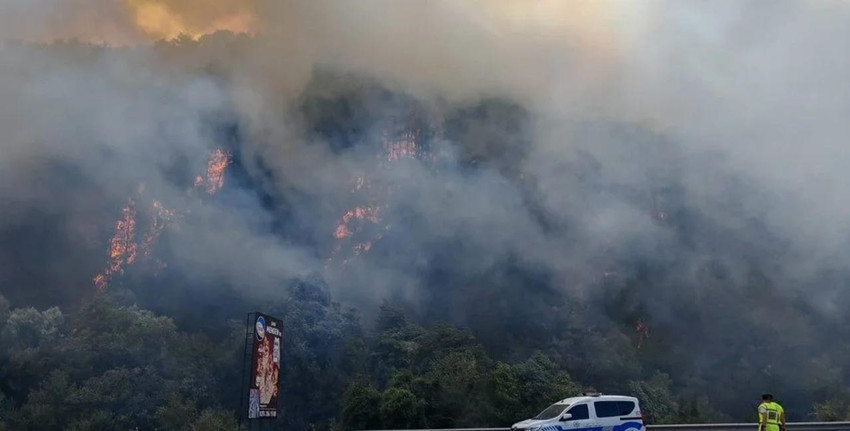 Bolu'da orman yangını paniği: Mengen-Devrek karayolu ulaşıma kapatıldı - Resim : 2