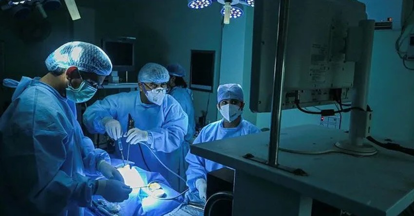 Yeni virüs salgını hızla yayılıyor: O ülkede 9 bin vakaya ulaştı! Peki bu hastalığın belirtileri neler? İşte detaylar - Resim : 1
