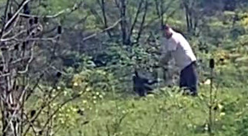 Avcılar'da akıl almaz olay! Kimseye aldırış etmedi: O anlar kamerada! - Resim : 2