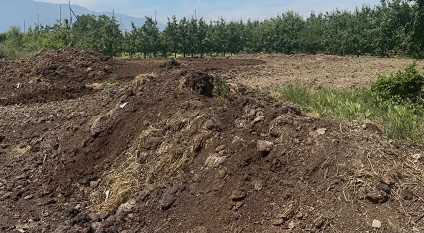 Çiftçinin yeni hazinesi! Toprağa bir kez atılıyor, etkisi 7 yıl sürüyor! Günlüğü 5 bin liraya işçi bulunamıyor - Resim : 2