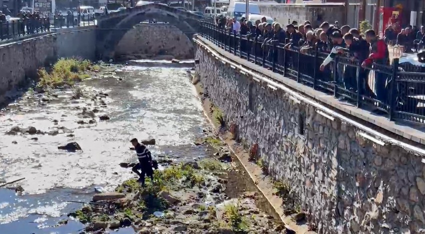 Bitlis'te keklik operasyonu! Film izler gibi izlediler - Resim : 1