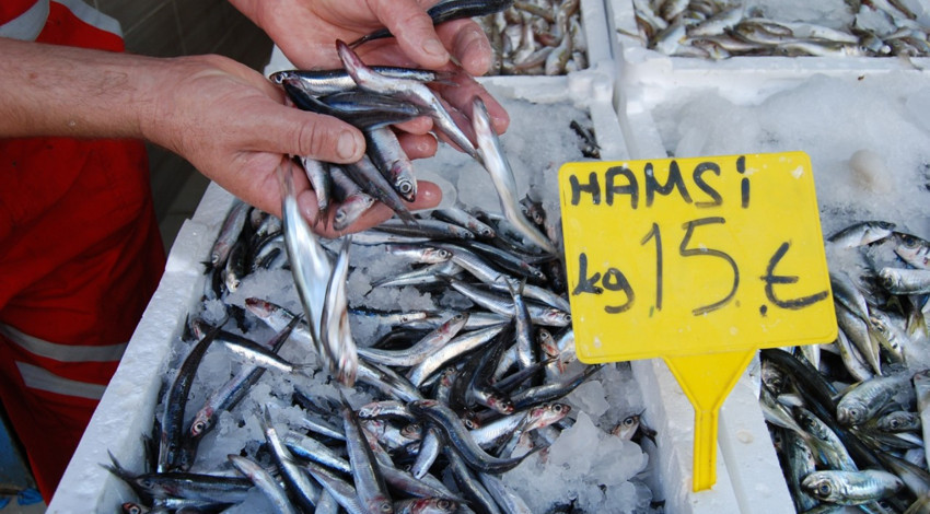 Hamsi tezgahlardaki yerini aldı