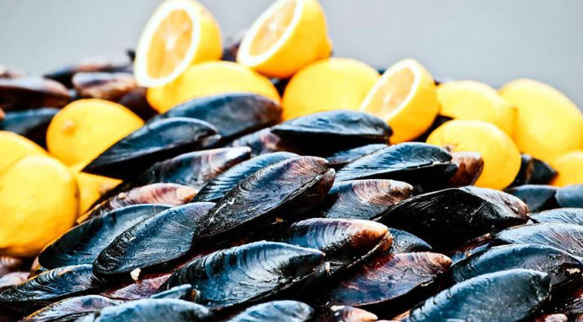 Midye yemeden önce bir kez daha düşünün