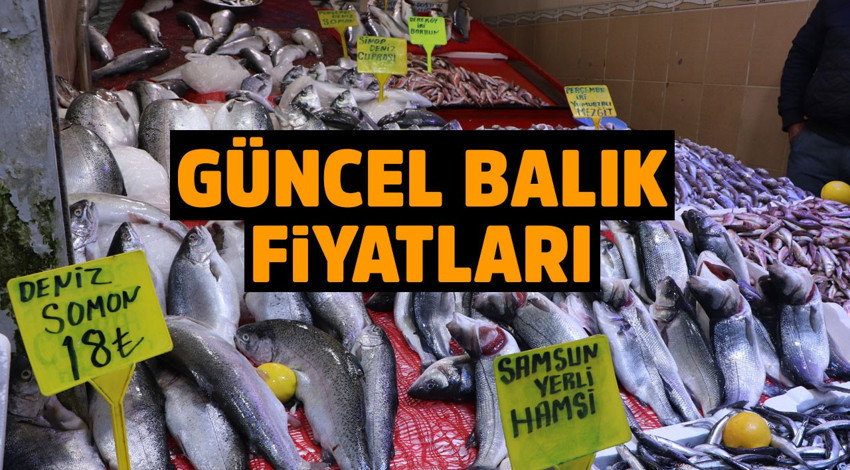 Hamsinin fiyatı düştü