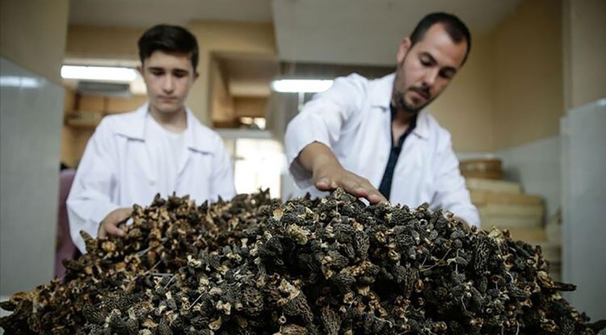 Koronaya iyi geliyor dendi! Fiyatlar fırladı