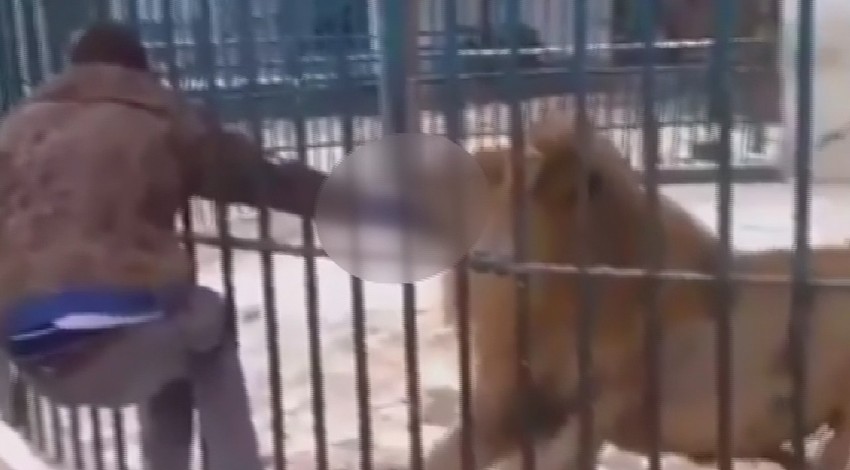 Korkunç dakikalar! Elini bir anda kaptı