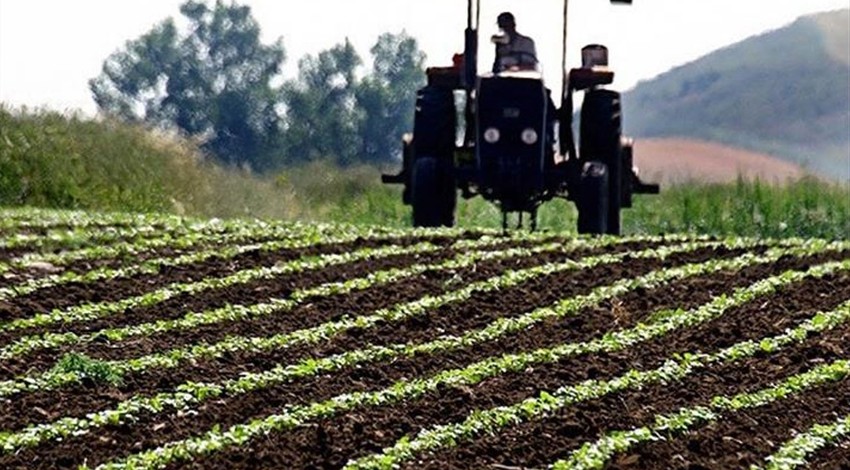 İBB, çiftçinin satamadığı ürünü alıp ihtiyaç sahiplerine dağıtacak