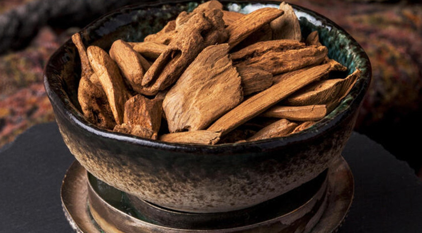 Korona virüsten koruyor! Faydaları saymakla bitmez