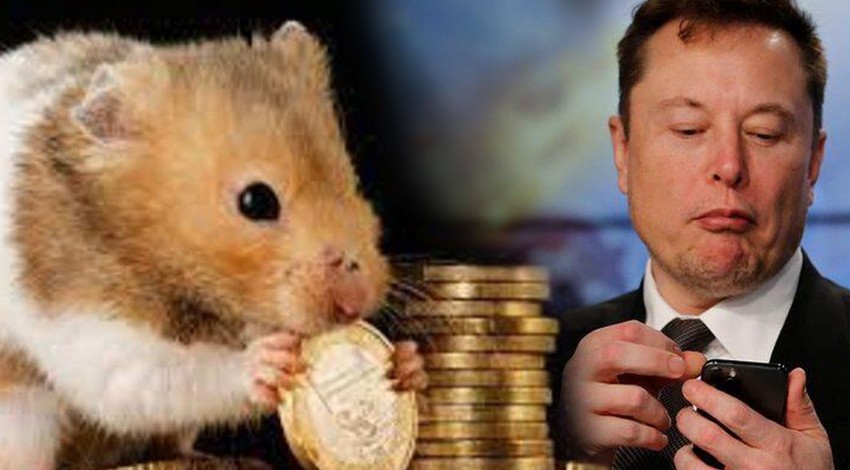 Elon Musk'ın Hamster Coin duyurusu piyasayı karıştırdı