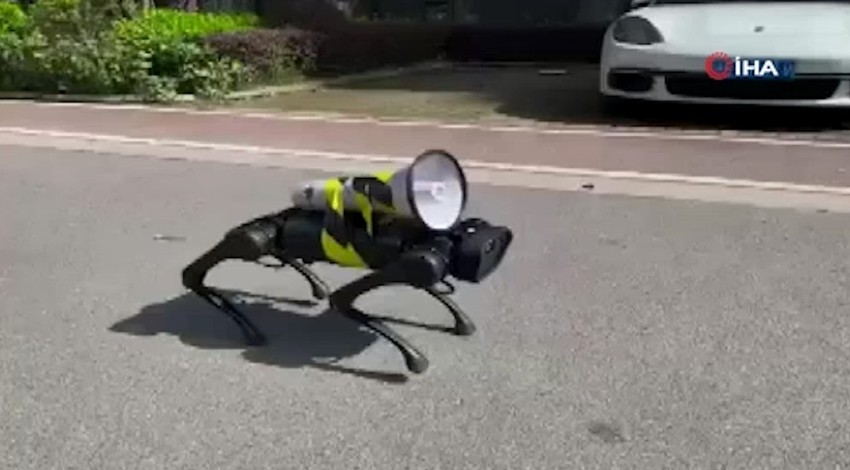 Sokaklarda dolaşan robot köpek gündem oldu