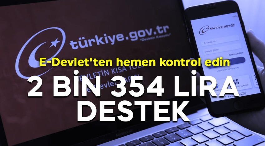 E Devlet'ten girip kontrol edebilirsiniz! E devlet tanımlı banka hesabınıza 2 bin 354 lira nakdi destek! Acele edin