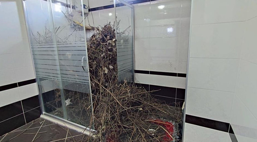 Sakarya’da şaşırtan olay: Kargalar evi bakın ne hale getirdi
