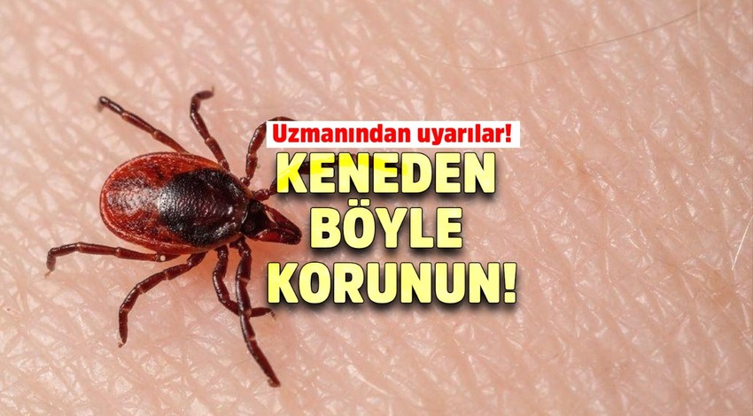 Kene hakkında doğru bilinen yanlışlar! Doç. Dr. Ömer Orkun'dan hayat kurtaran uyarılar