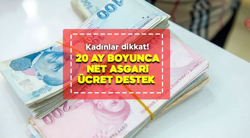 20 ay boyunca net asgari ücret tutarında destek! Başvuru ekranı açıldı! e-Devlet’ten hemen başvurup desteğinizi alabilirsiniz