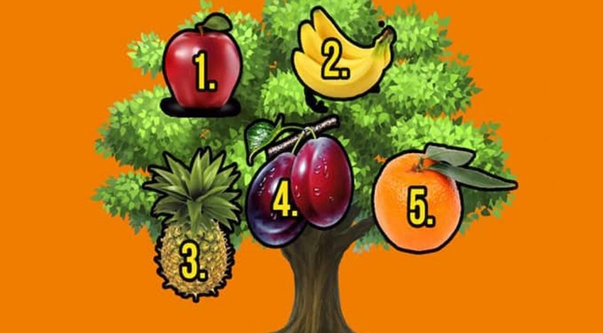 Bize seçtiğiniz meyveyi söyleyin size geleceğinizi söyleyelim! Buyurun teste