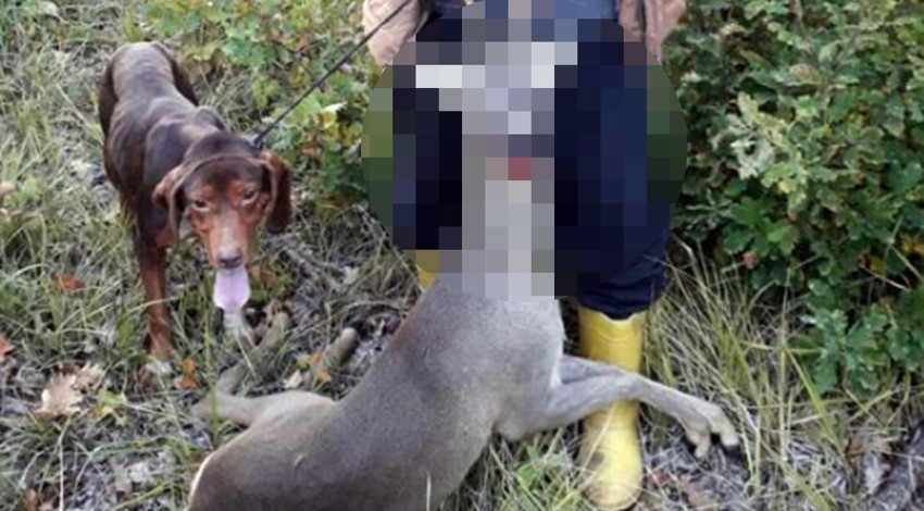 Koruma altındaydı vurulmaması gerekiyordu ama vicdansızlar ağzından vurdu!