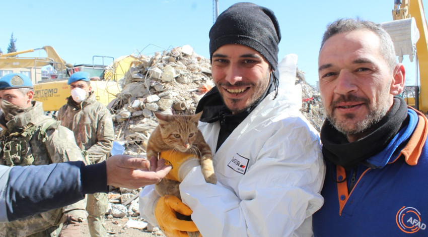 Enkazdan kurtardıkları kediye 'AFAD' adını verdiler