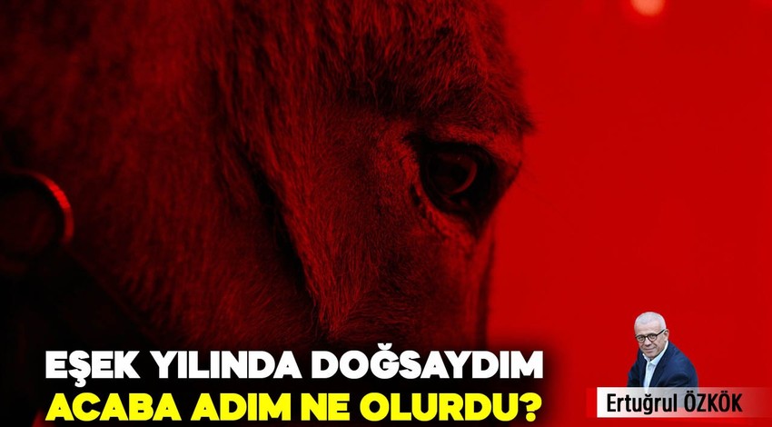 Eşek yılında doğsaydım acaba adım ne olurdu?