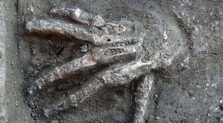 Mısır'da kazı yapan arkeologlar topraktan korkunç bir şey çıkardı. Gören tüm dünya aynı anda sarsıldı