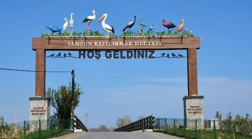 Binlerce kilometre gelen yüzlercesi Samsun'a yerleşti. Herkes onları görmek için bölgeye akın etti