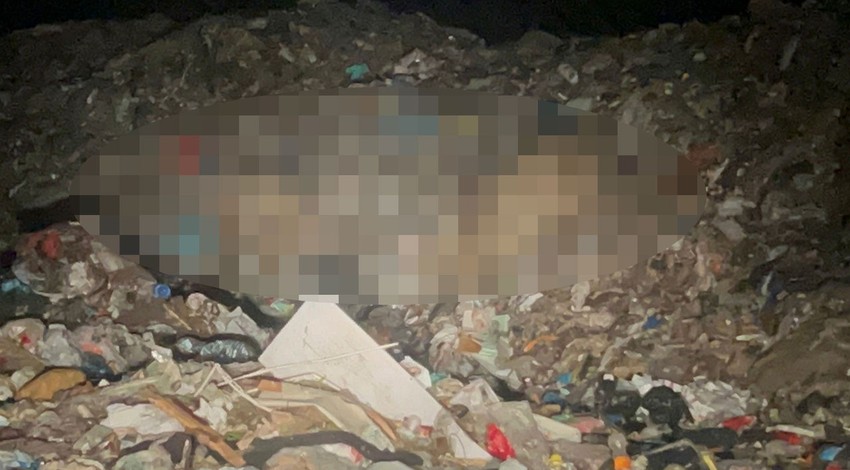 Kış uykusundan uyanıp şehir merkezine indiler... Vatandaşlar artık görmeye onları çöp kenarlarında görmeye alıştığını söyledi