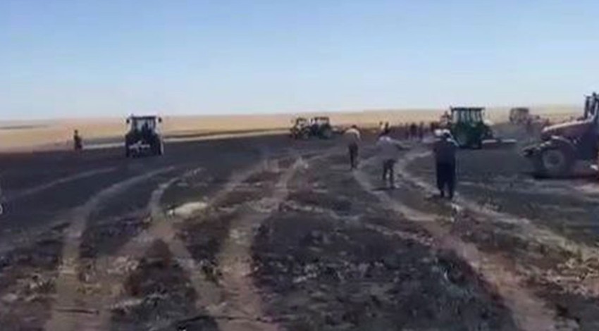 Diyarbakır'da yangın! 100 dönümlük buğday kül oldu
