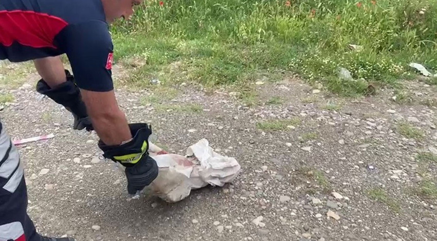 Türkiye'deki evin bahçesinde ortaya çıktı... Ev sahipleri yetkililer gelene kadar kapıyı bile açamadı... Sadece camdan baktılar
