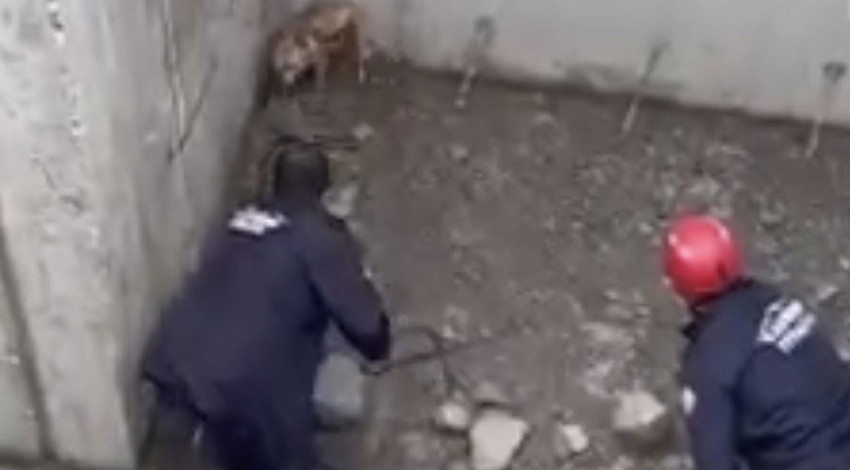 İnşaatın temelindekini gören vatandaşlar panik oldu…Hemen itfaiye ekipleri çağırıldı