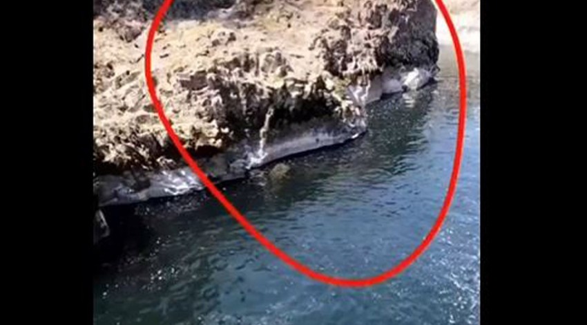 Dünyayı buz kestirip kaynatan sonra tekrar kaynatıp buz kestiren görüntü. Suda kafasını çıkardı, onu gören herkes korkudan saçını başını yoldu