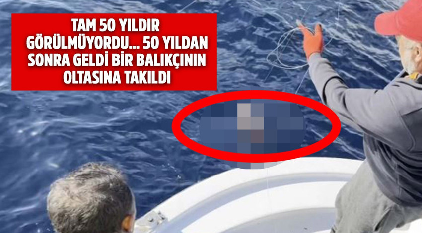 Balıkçının oltasına takıldı... Tam 50 yıldan bu yana hiç görülmemişti... 50 yıldan sonra geldi oltaya takıldı, balıkçılar yerinden fırladı