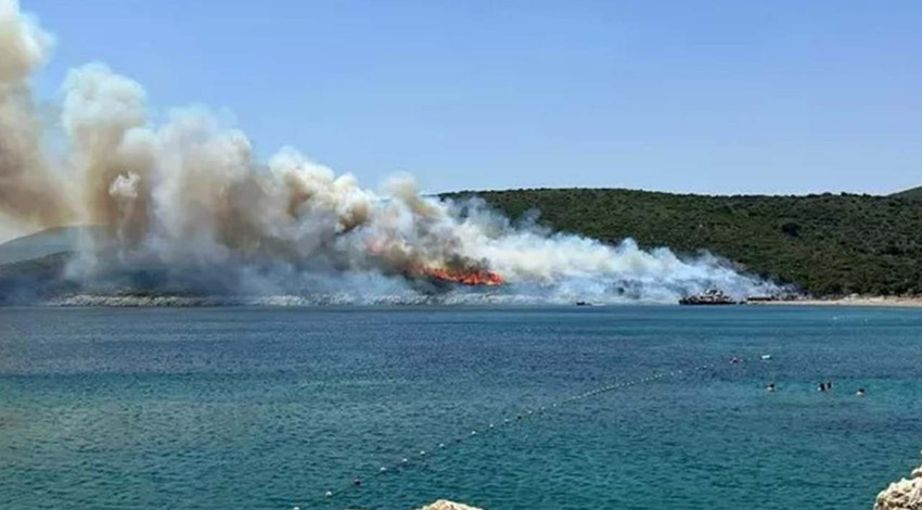 Bakan Yumaklı açıkladı: Muğla Milas’taki orman yangını kontrol altına alındı