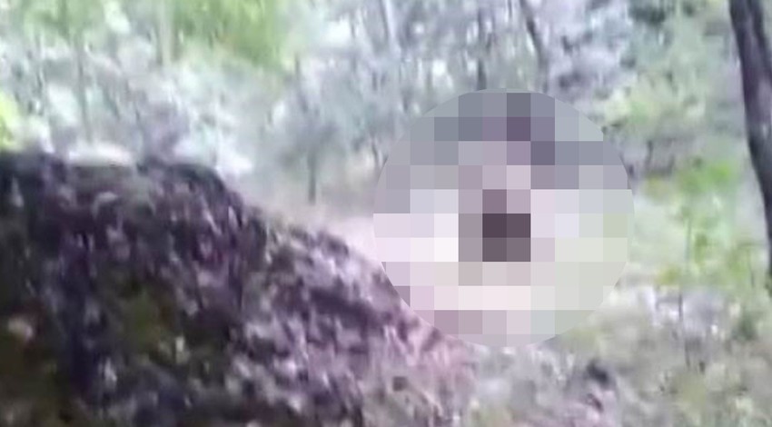Elindeki yiyecekleri ormanda bir  yere bıraktıktan sonra uzaklaşıp kamerasını açtı. Gelen devasa yaratığı öyle bir karşıladı ki izleyenler kahkahaya boğuldu
