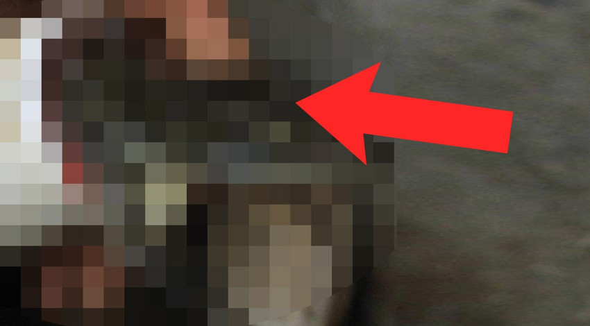 Resmen bu kez en büyük kıyamet alametiydi... Babasız doğan canlı hakkında korkunç bir gelişme yaşandı... 12 saat önce daha da kötü haber geldi