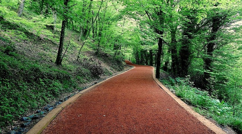 Belgrad Ormanı'na giden isyan etti: Tam 18 ton, bırakıp gittiler